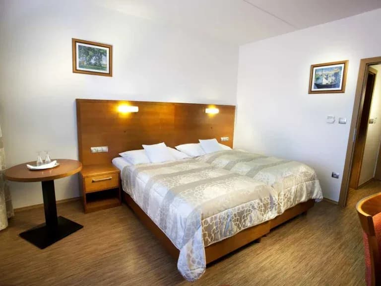 Hotel Celnice – fotografie 9
