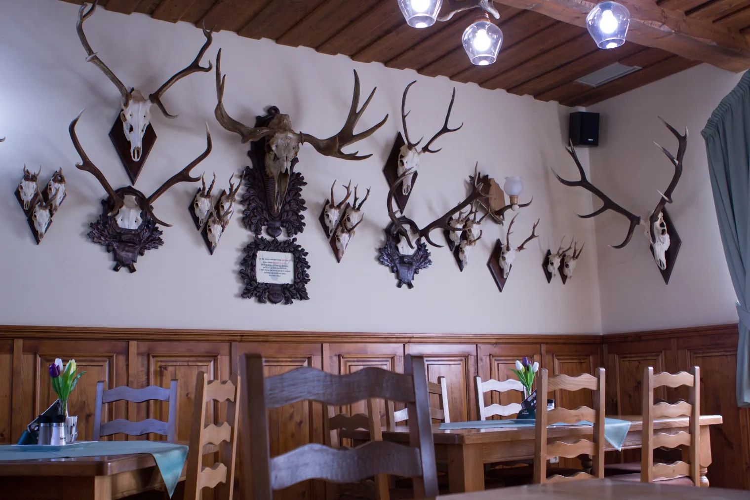 Hotel Hubert – fotografie 6