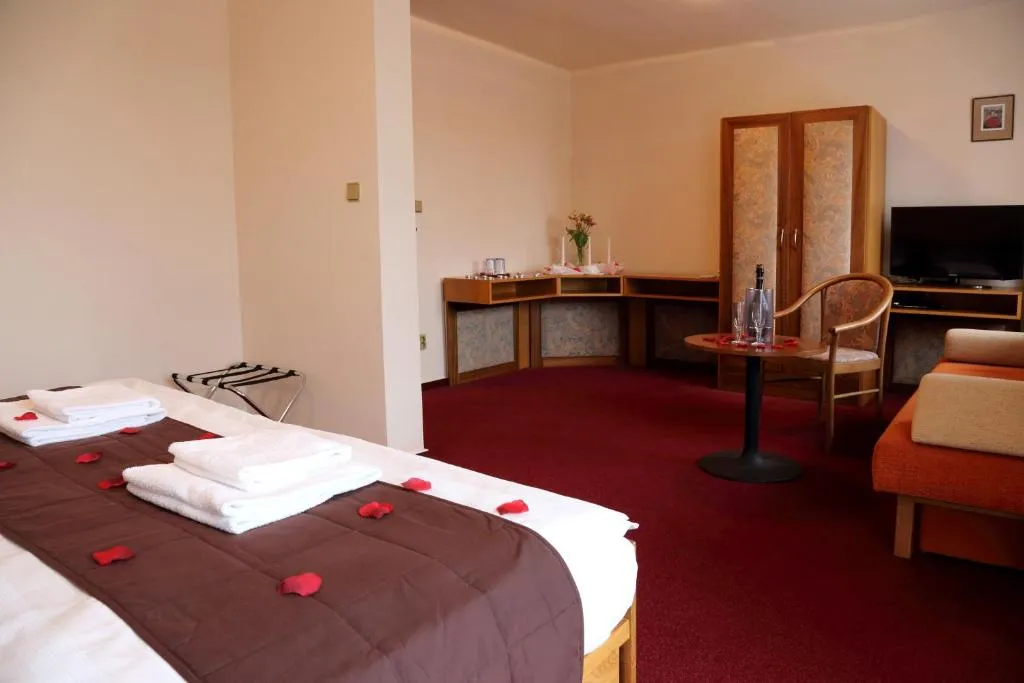 Hotel Zvíkov – fotografie 7