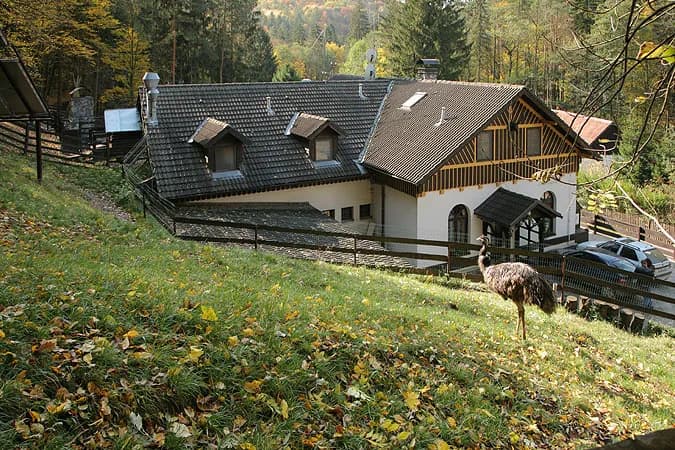 Ranč u jelena – fotografie 5
