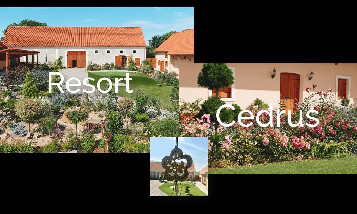 Resort Cedrus – fotografie 8