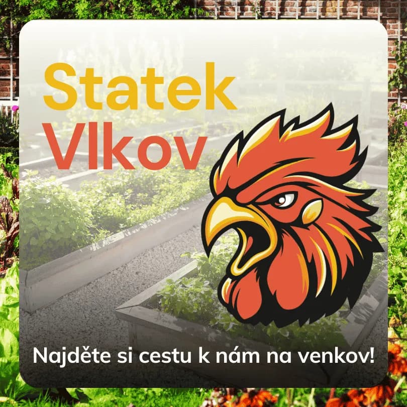 Statek Vlkov – фото 3