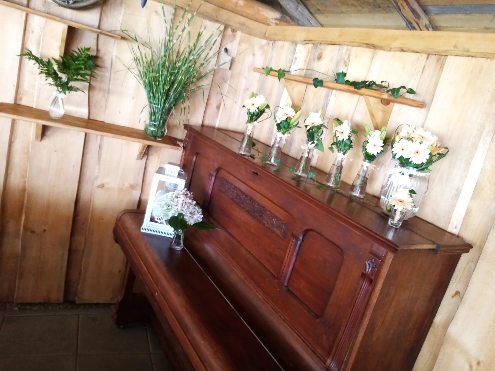 VLČÍ DOUPĚ – photo 7