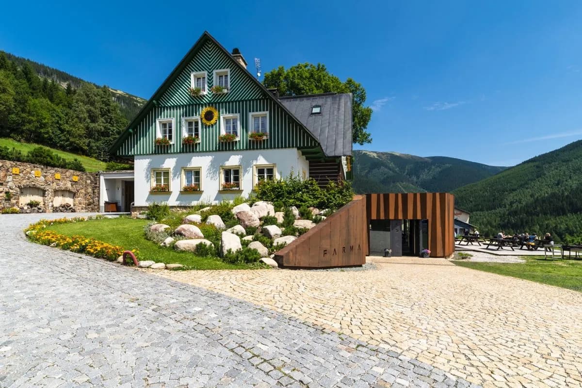 Pension Slunečnice & Restaurace Farma - изображение 1