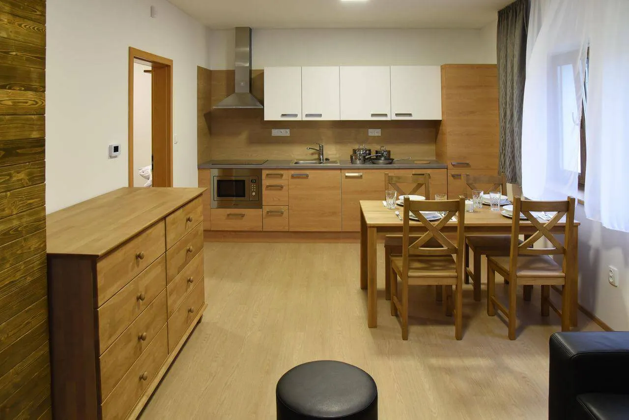 EFI Apart Hotel Horní Lipová - obrázek 1